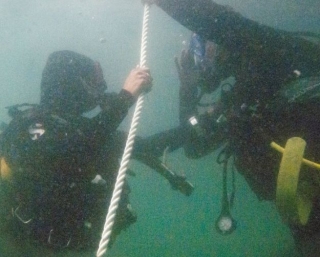  Discesa subacquea nel Golfo del Morbihan 